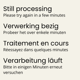 Professionelle Pfostenanker (2x)